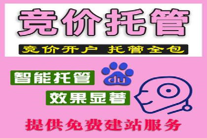 行业领先企业的sem代运营公司合作经验